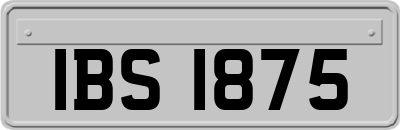 IBS1875