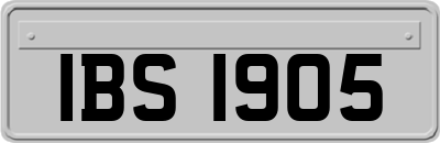 IBS1905
