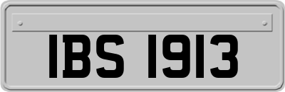 IBS1913