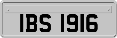 IBS1916