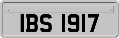 IBS1917