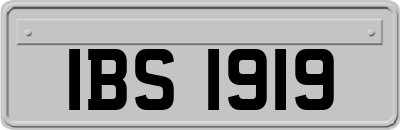 IBS1919