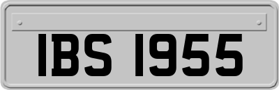 IBS1955