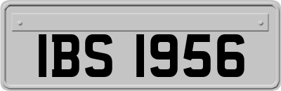 IBS1956