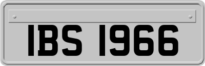 IBS1966