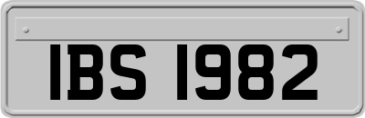 IBS1982