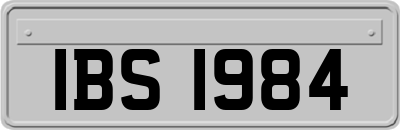 IBS1984