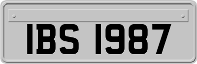 IBS1987