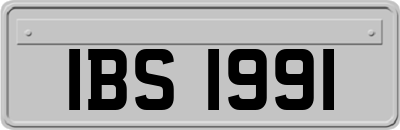 IBS1991