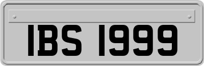 IBS1999