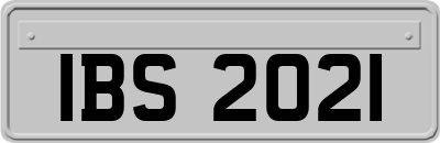 IBS2021