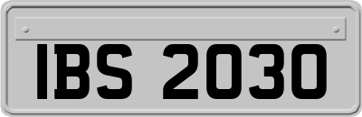 IBS2030