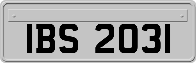 IBS2031