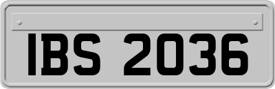 IBS2036