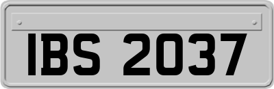 IBS2037