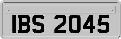 IBS2045