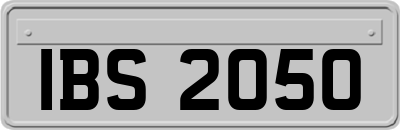 IBS2050