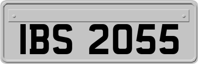 IBS2055