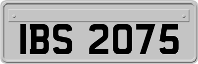 IBS2075