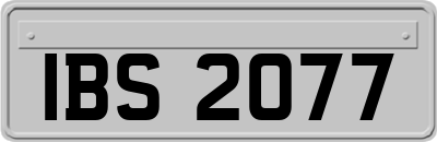 IBS2077
