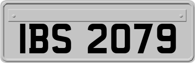 IBS2079