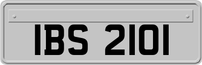 IBS2101