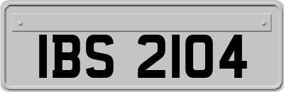 IBS2104