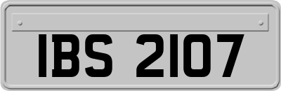 IBS2107