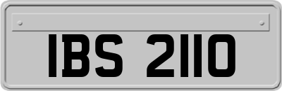 IBS2110