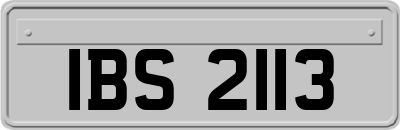 IBS2113
