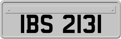 IBS2131