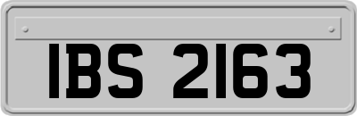 IBS2163