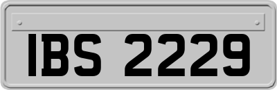 IBS2229