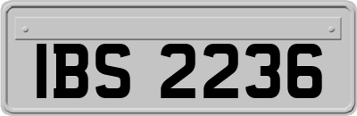 IBS2236