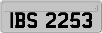 IBS2253