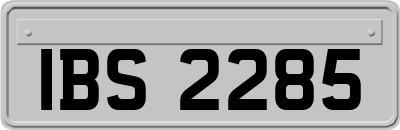 IBS2285