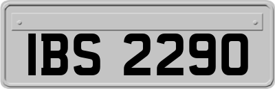 IBS2290