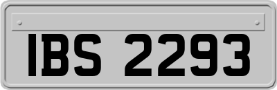 IBS2293