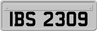 IBS2309