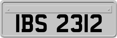IBS2312