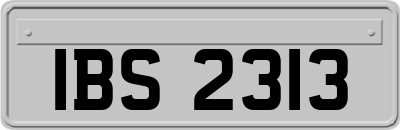 IBS2313
