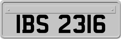 IBS2316