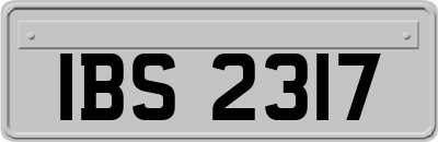 IBS2317