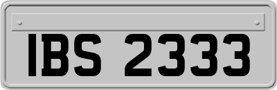 IBS2333