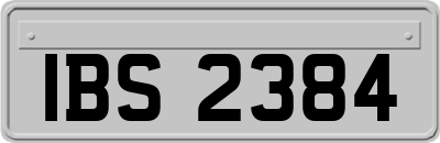 IBS2384