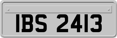 IBS2413
