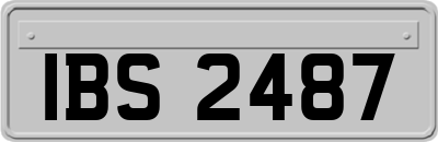 IBS2487