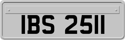IBS2511