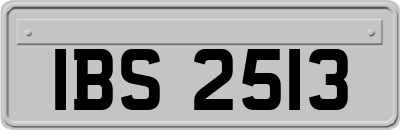 IBS2513