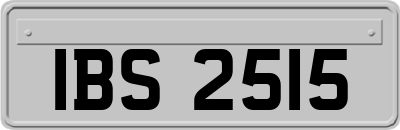 IBS2515